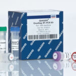 QIAGEN OneStep RT PCR Kit