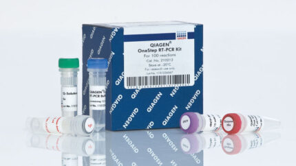 QIAGEN OneStep RT PCR Kit