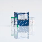QIAGEN QuantiTect SYBR Green PCR Kit