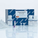 QIAamp Viral RNA Mini Kit