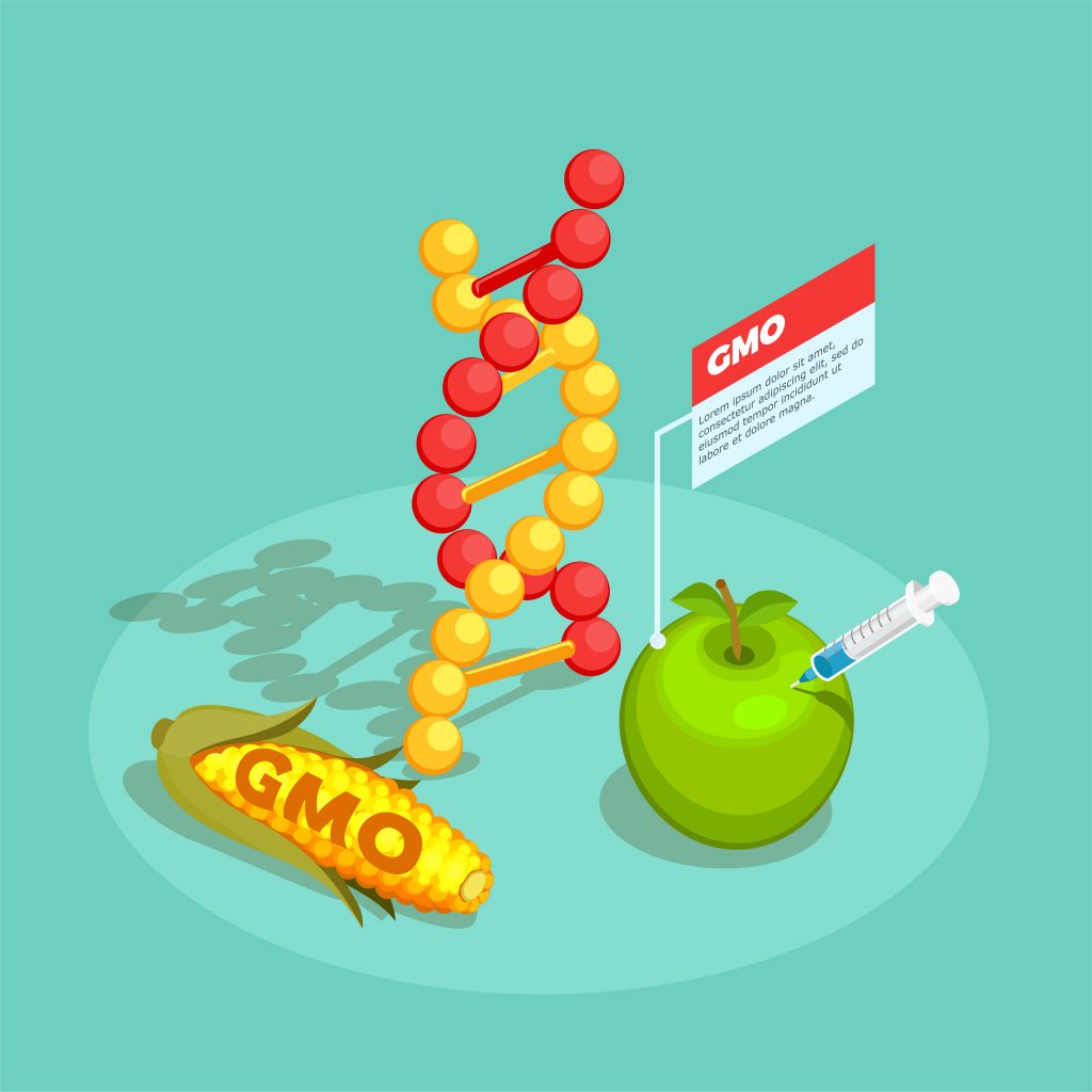 GMO Food Isometric Composition