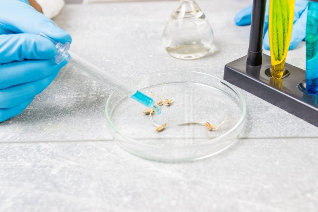 Transfer gen dalam pemuliaan tanaman