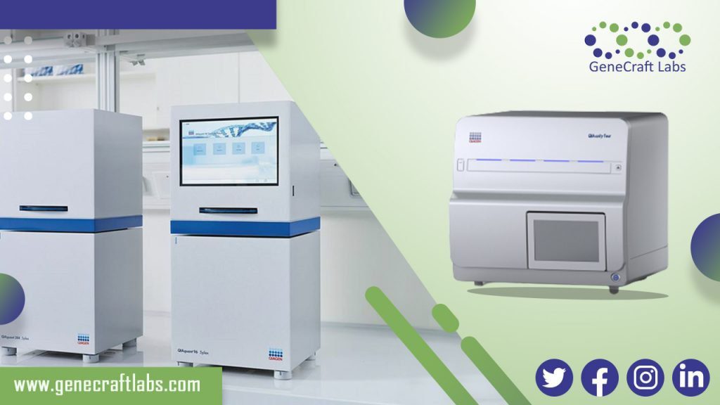 Perbandingan Digital PCR (dPCR) dan RT PCR (qPCR)
