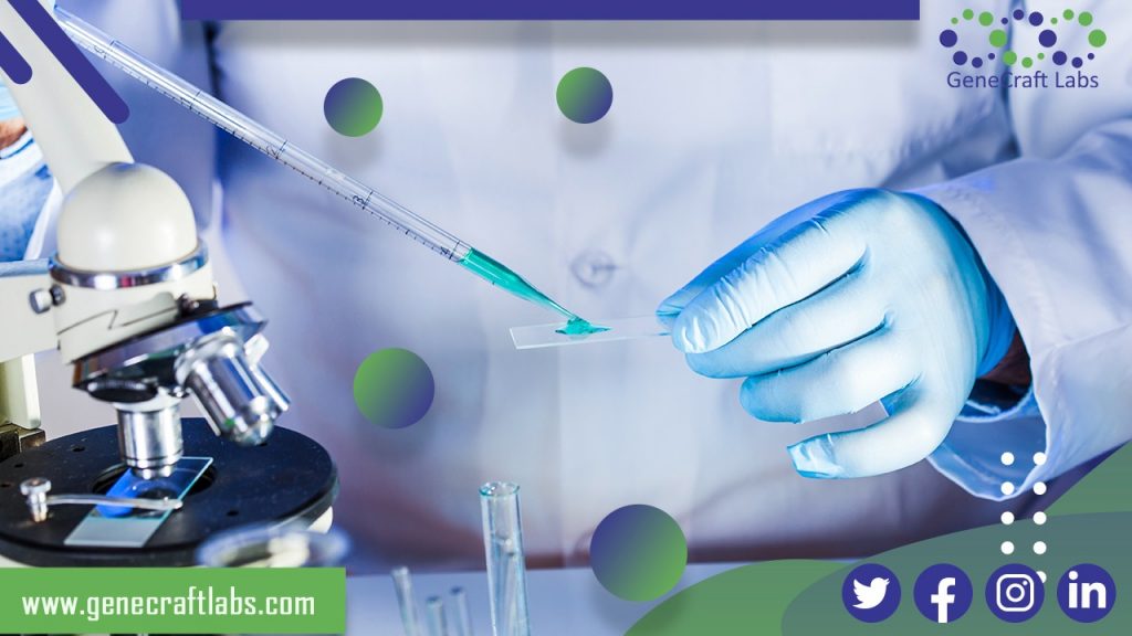 cara memipet yang baik dan benar