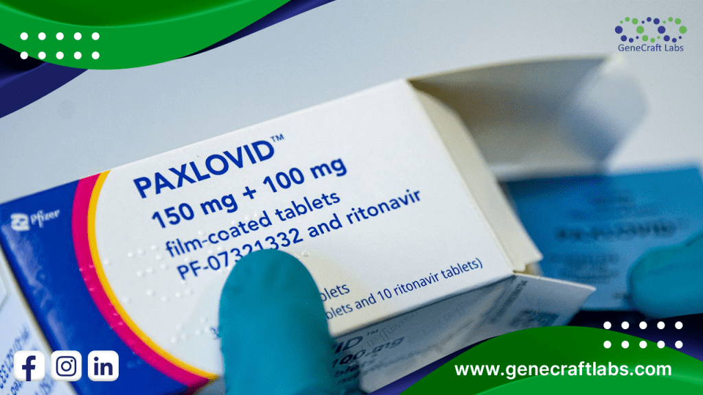 paxlovid pfizer